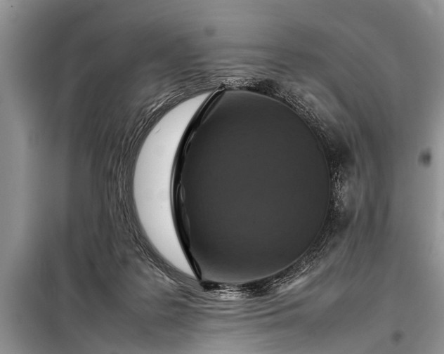 X0000097960219200804071040