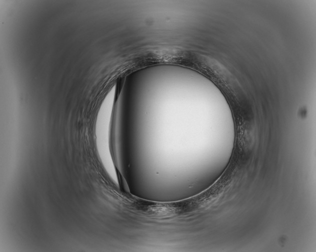 X0000097960221200804071040