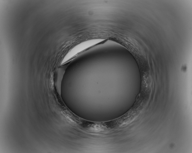 X0000097960223200804071040