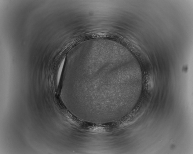 X0000097960224200804071040