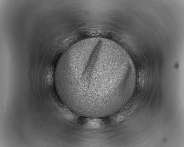 X0000097960226200804071040