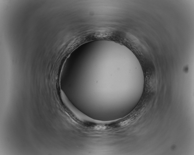 X0000097960227200804071040