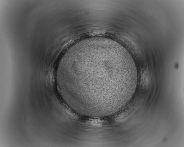 X0000097960228200804071040