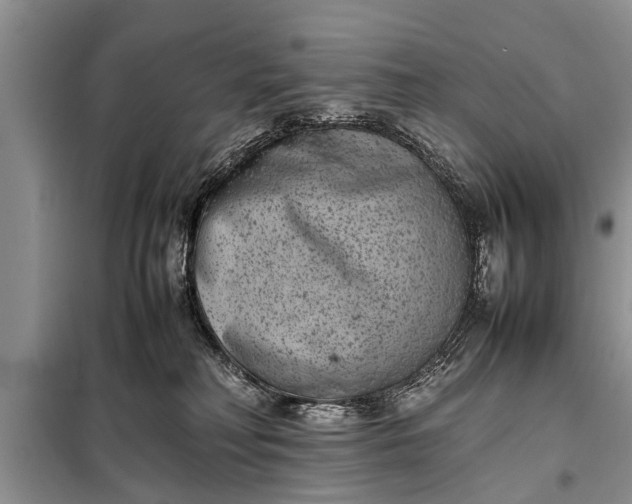 X0000097960230200804071040