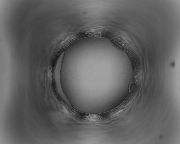 X0000097960231200804071040