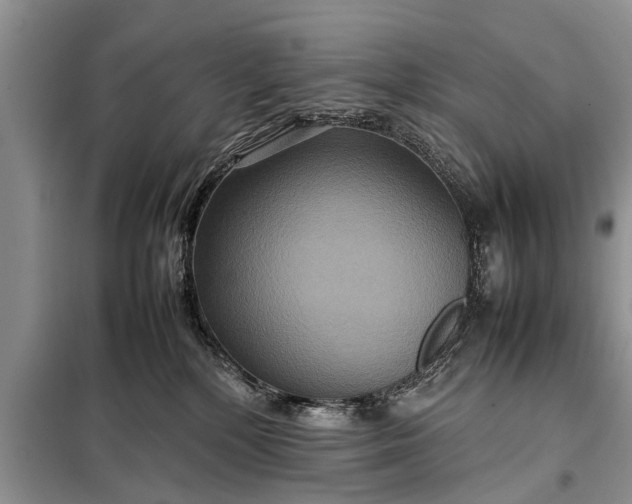 X0000097960232200804071040