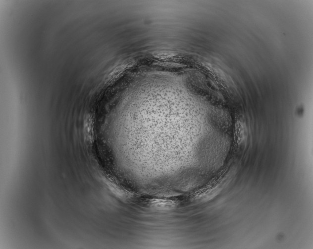 X0000097960234200804071040