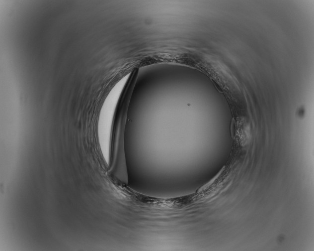 X0000097960235200804071040