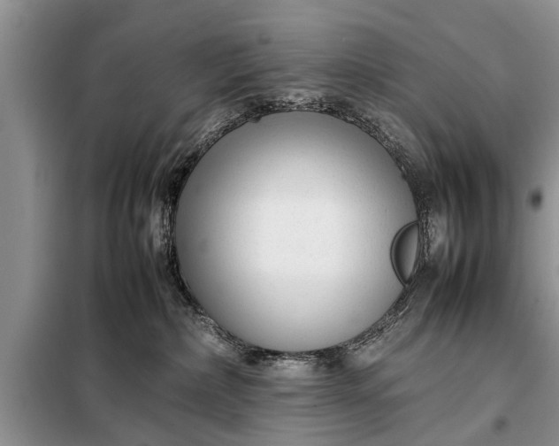 X0000097960236200804071040