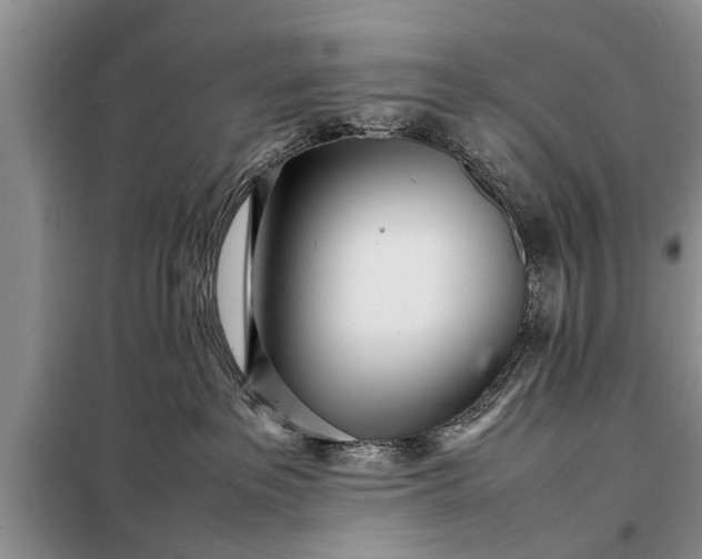 X0000097960237200804071040