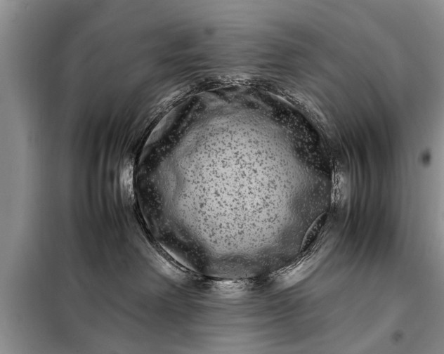 X0000097960238200804071040
