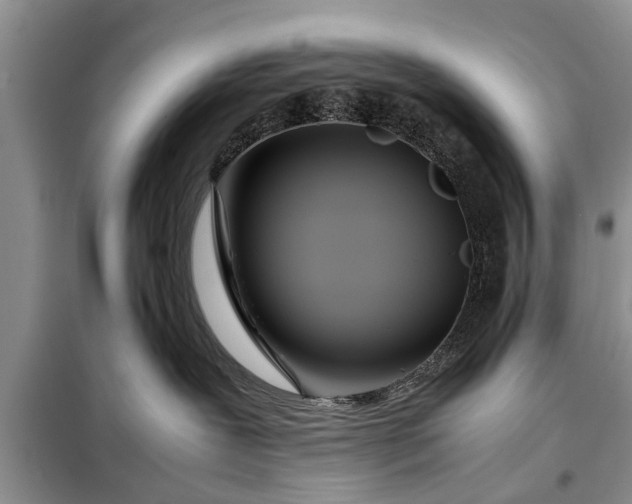 X0000097960239200804071040