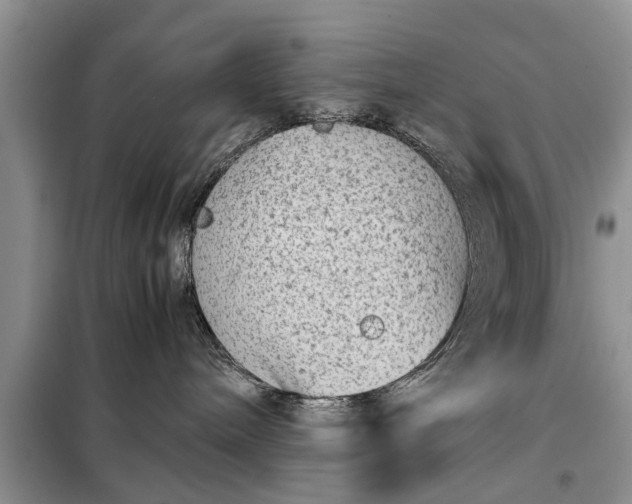 X0000097960240200804071040