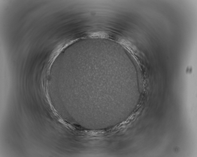 X0000097960241200804071039