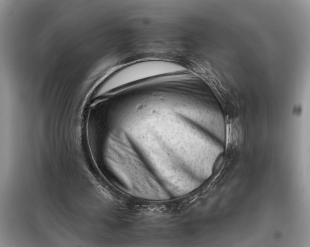 X0000097960243200804071039