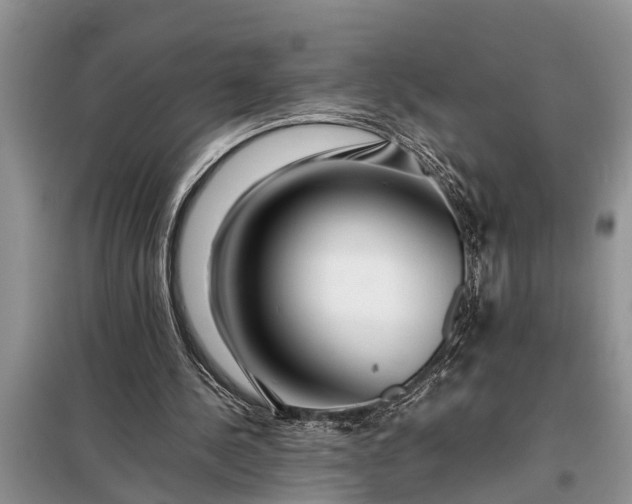 X0000097960244200804071039