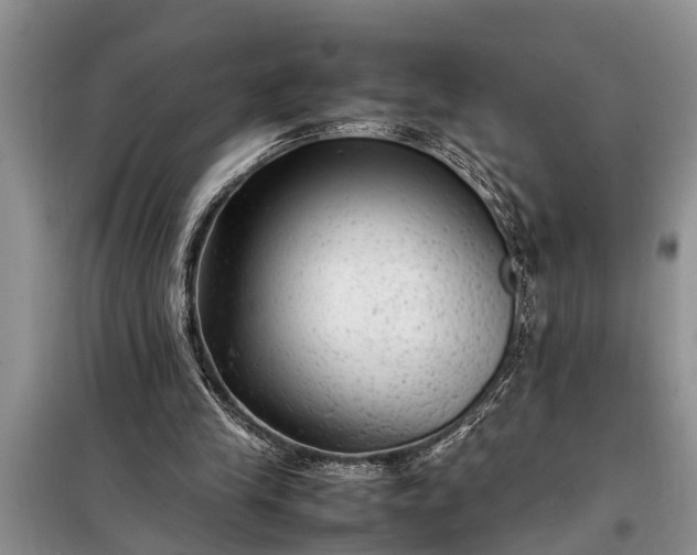 X0000097960245200804071039