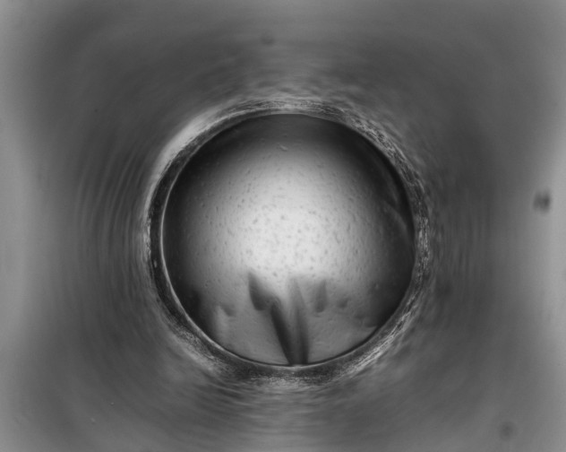 X0000097960246200804071039