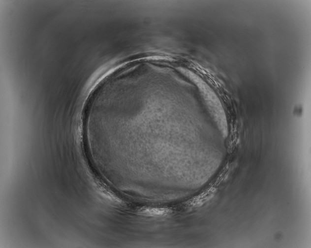 X0000097960247200804071039