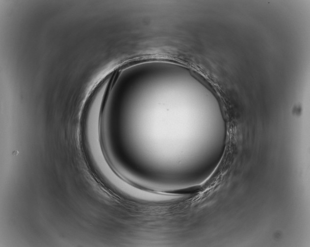 X0000097960248200804071039