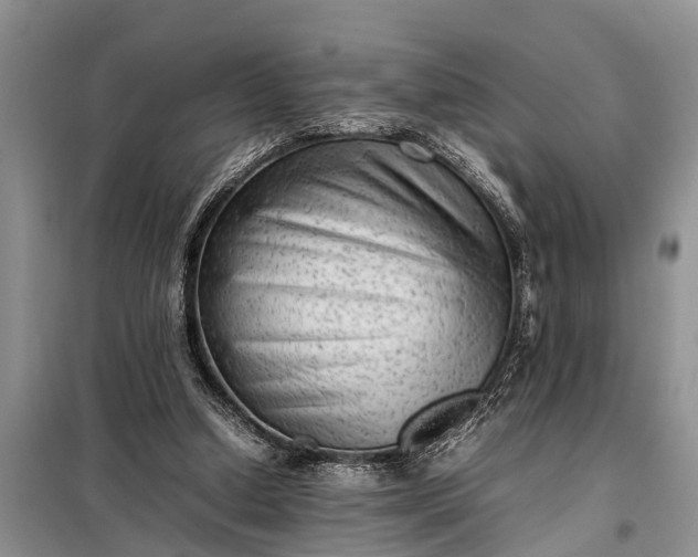 X0000097960250200804071039