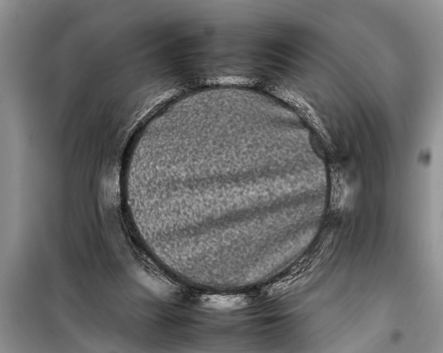 X0000097960251200804071039