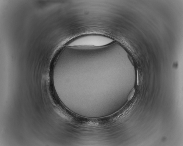 X0000097960252200804071039