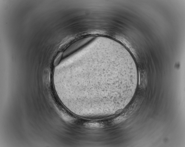 X0000097960253200804071039
