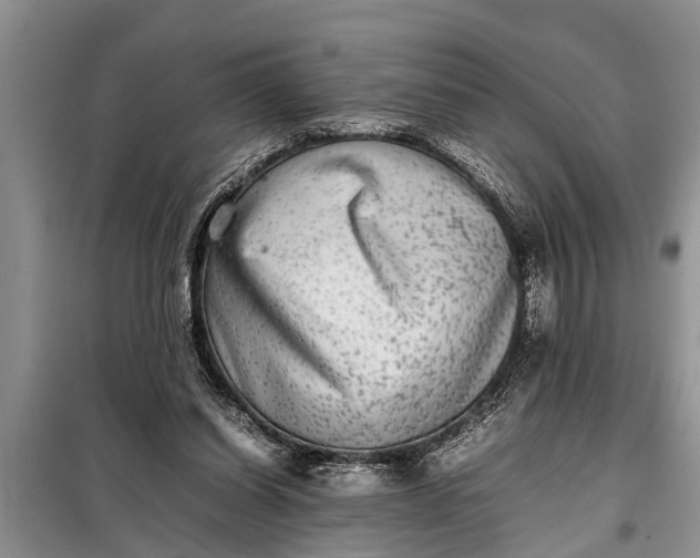 X0000097960254200804071039