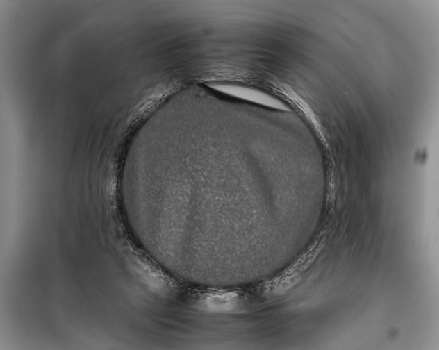 X0000097960257200804071039