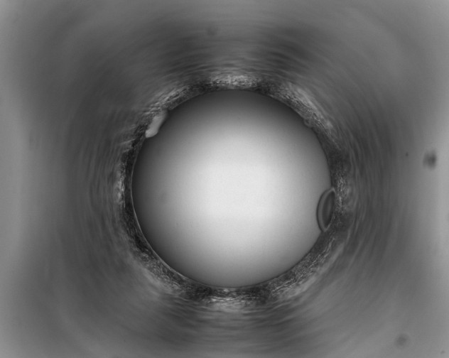 X0000097960259200804071039