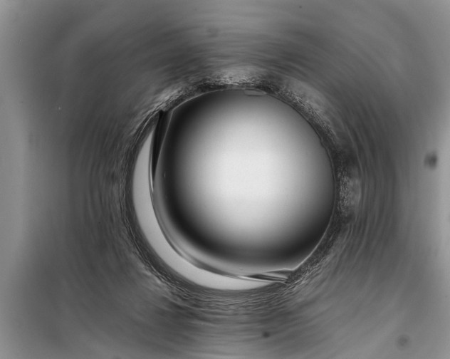 X0000097960260200804071039