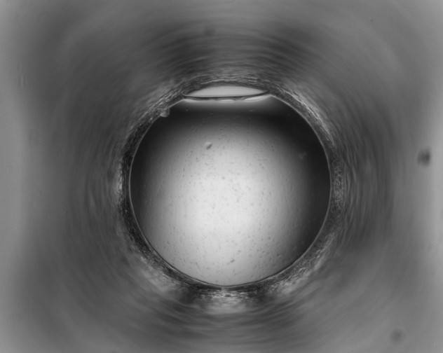X0000097960261200804071039