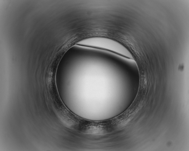X0000097960263200804071039