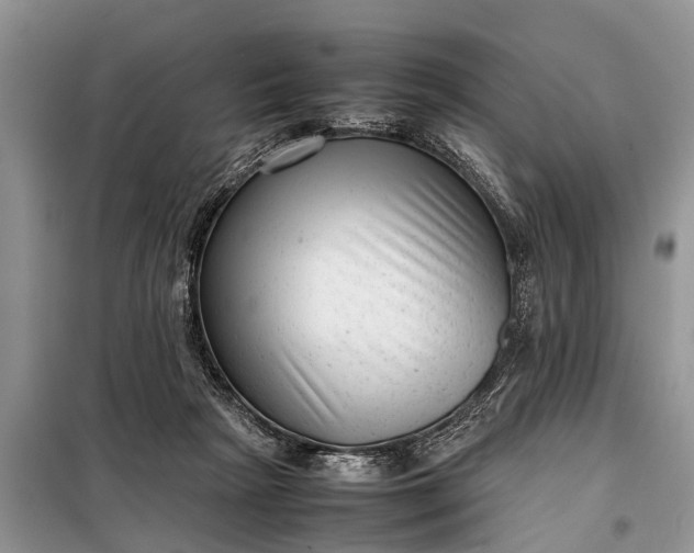 X0000097960265200804071039