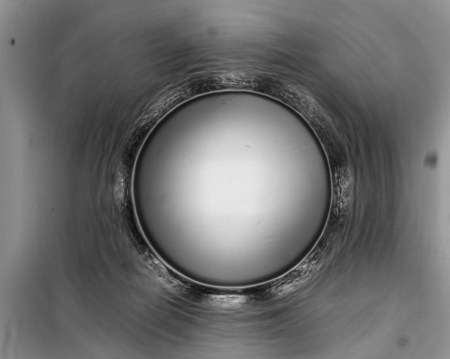 X0000097960266200804071039
