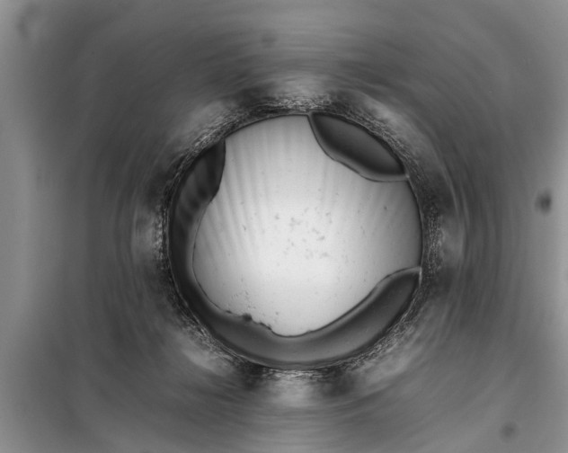 X0000097960268200804071039