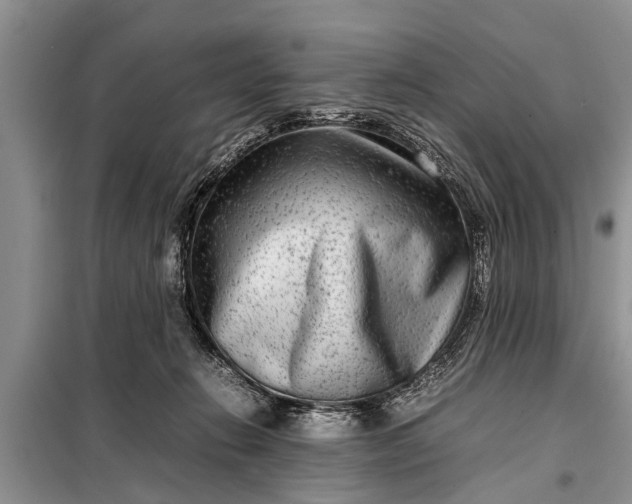 X0000097960270200804071039