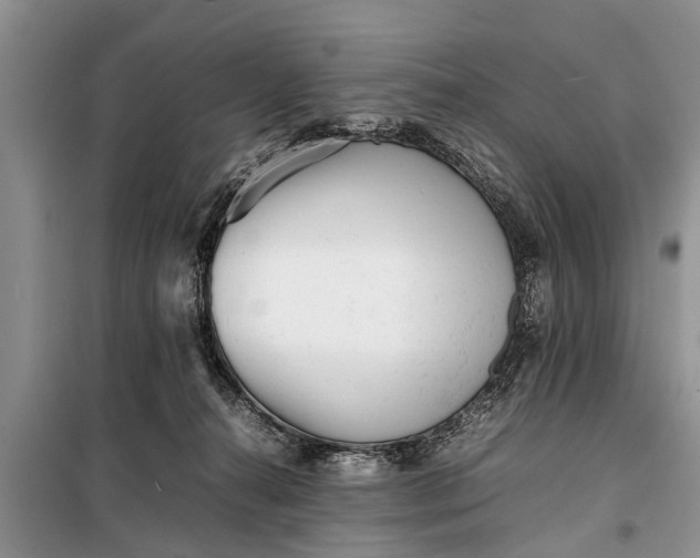 X0000097960272200804071039
