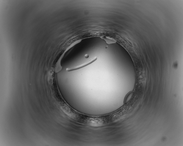 X0000097960275200804071039