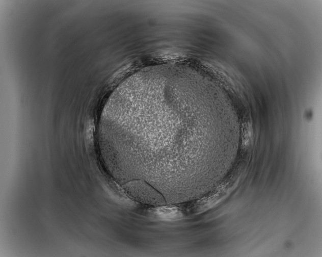 X0000097960279200804071039