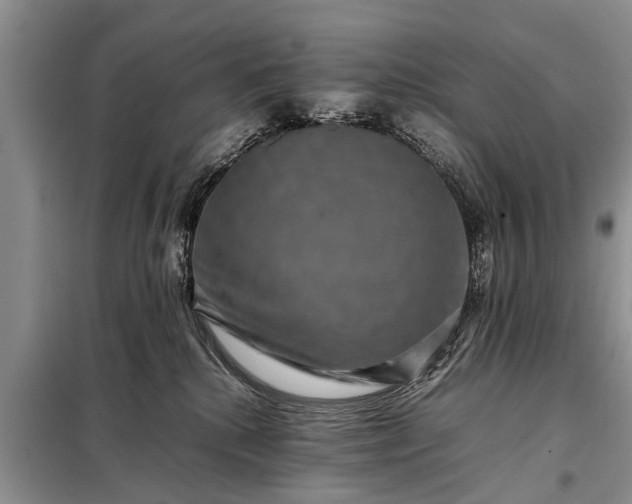 X0000097960280200804071039