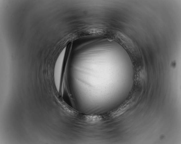 X0000097960281200804071039