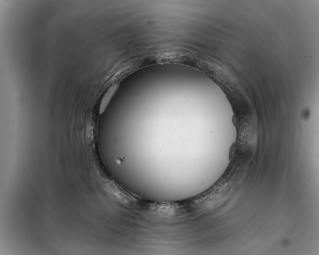 X0000097960282200804071039
