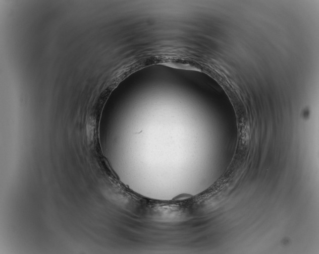 X0000097960283200804071039