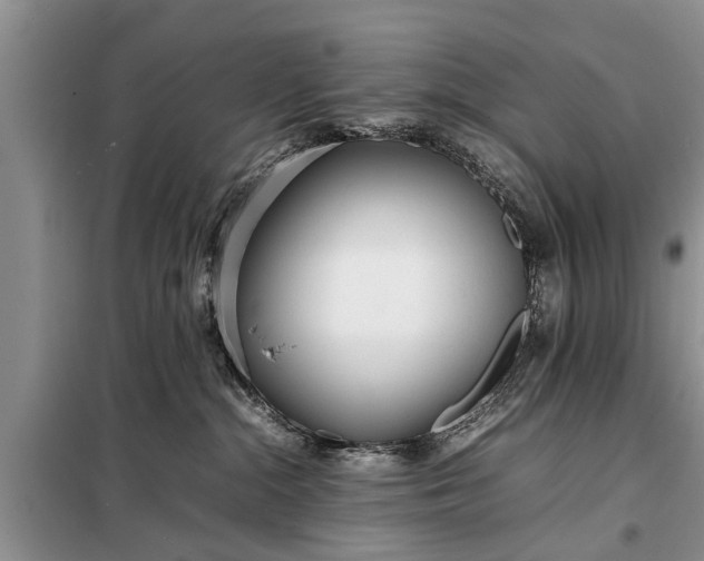 X0000097960284200804071039