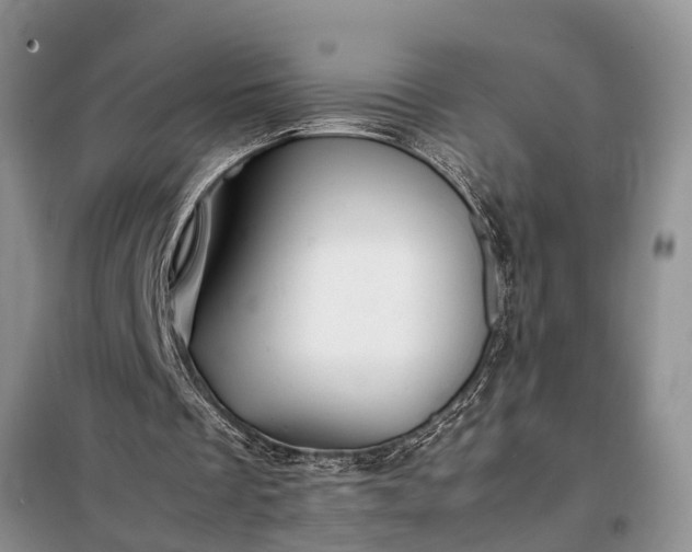 X0000097960289200804071039