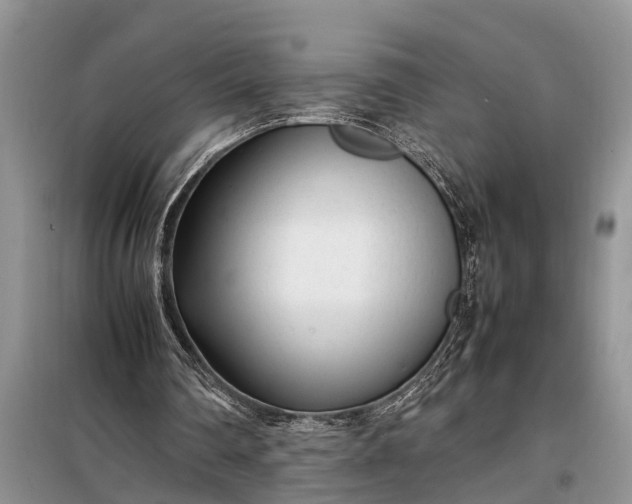 X0000097960290200804071039