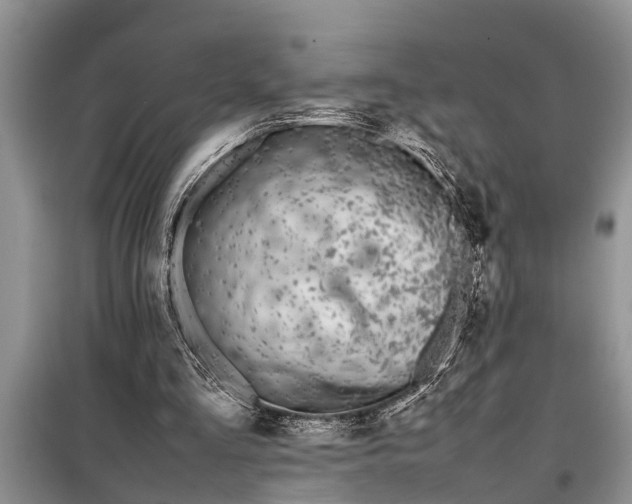 X0000097960293200804071038