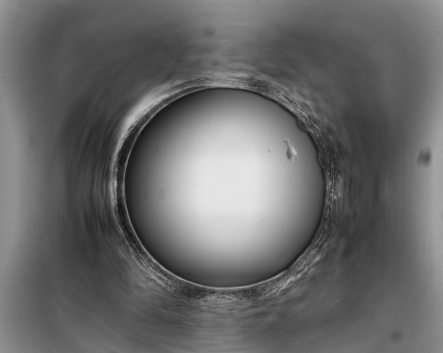 X0000097960294200804071038